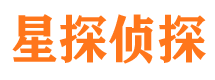 双城市私家侦探